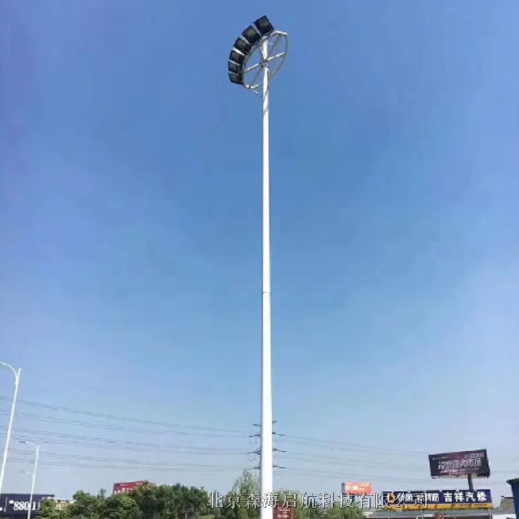 8米高光效LED路燈廠家價(jià)格